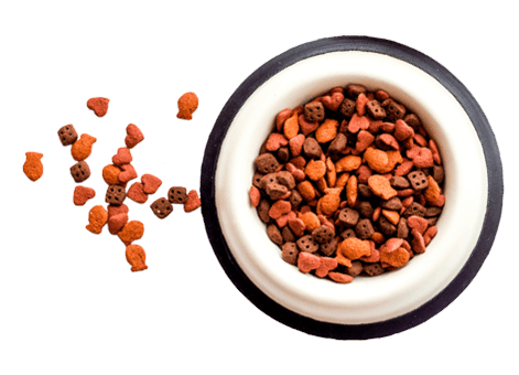 https://barky.arenite.com.ar/wp-content/uploads/2019/08/floating_food.png