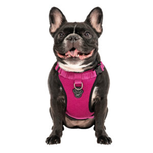 https://barky.arenite.com.ar/wp-content/uploads/2025/03/original-238-300x300.jpeg