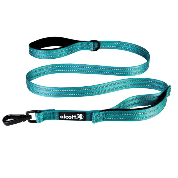 Alcott Blue Traffic Dog Leash, 60" L, One Size Fits All