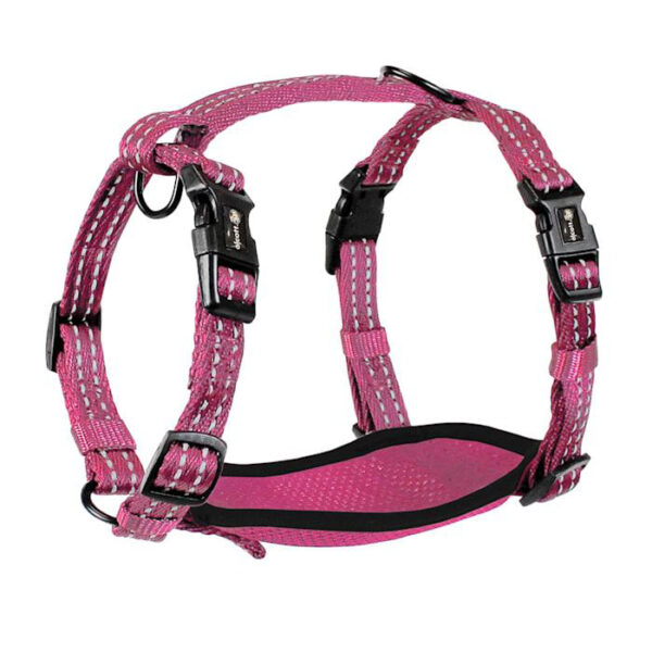 Alcott Adventure Dog Harness with Reflective Stitching & Mesh Padding, Small