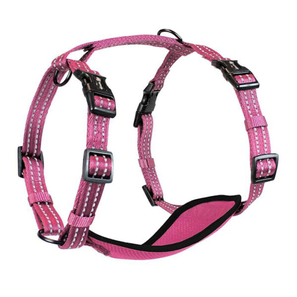 Alcott Adventure Dog Harness with Reflective Stitching & Mesh Padding, Medium