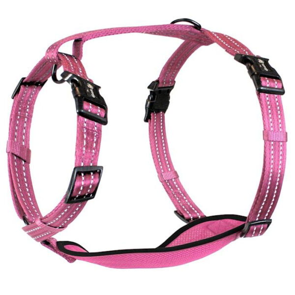 Alcott Adventure Dog Harness with Reflective Stitching & Mesh Padding, Large