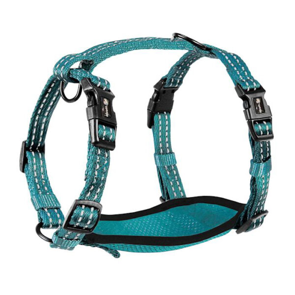 Alcott Blue Adventure Dog Harness small