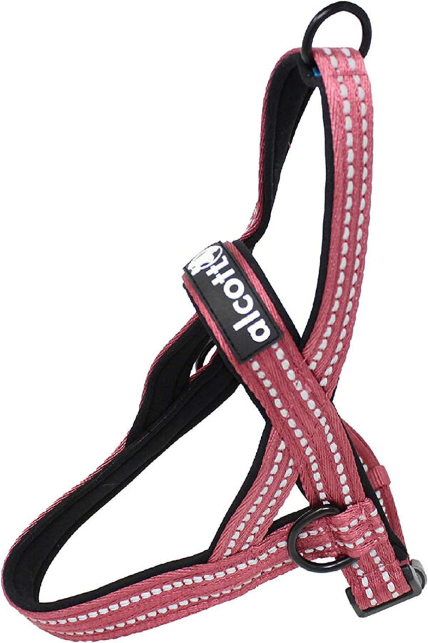 Alcott Norwegian Harness, Red, Medium